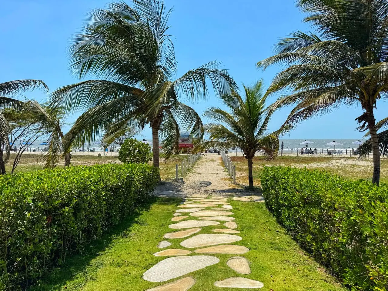 Spectacular Beach front Apartment! - Image 28