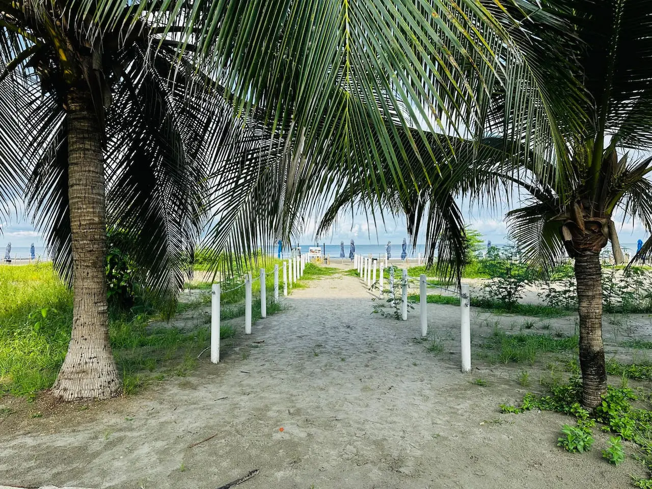 Spectacular Beach front Apartment! - Image 77