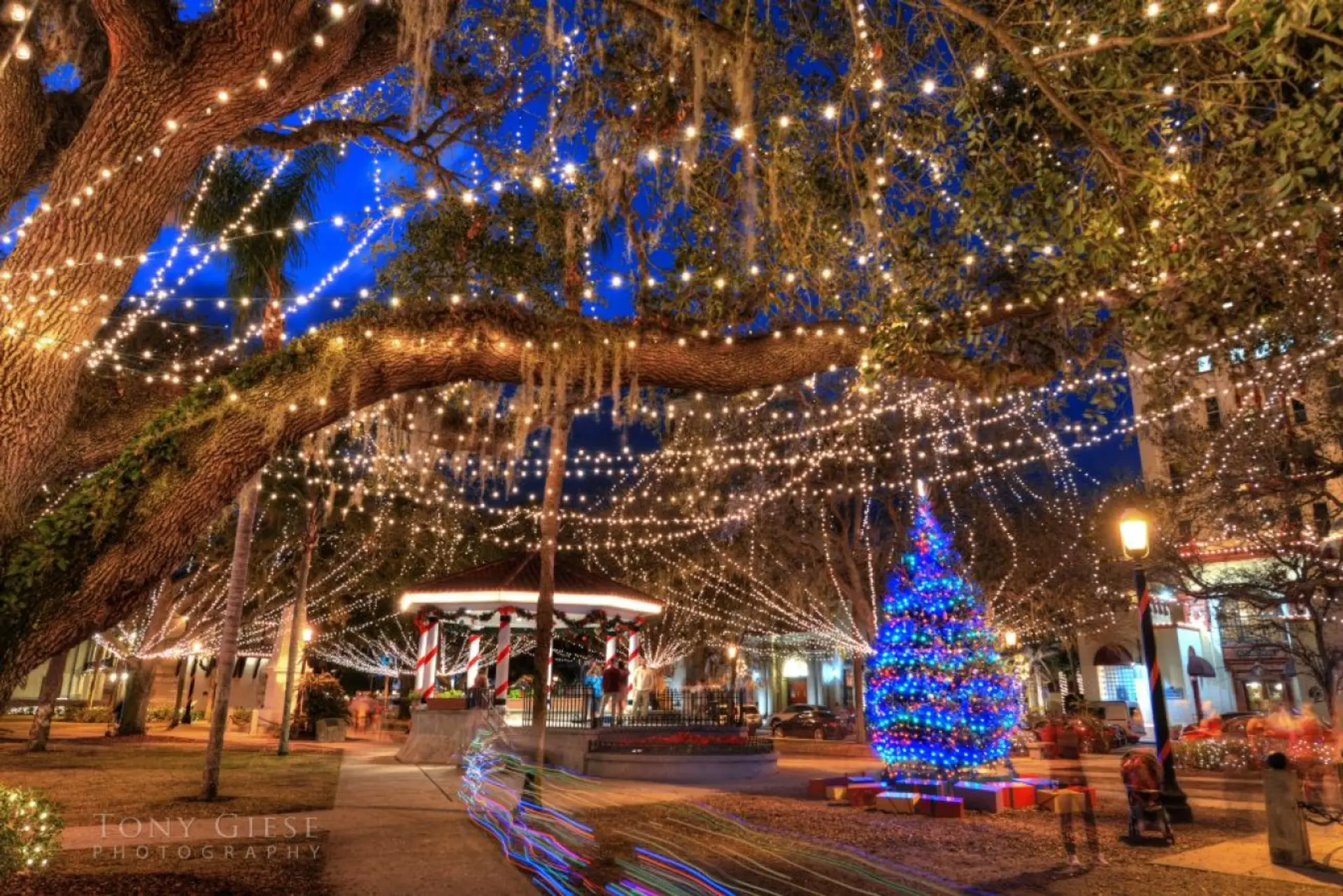 Nights of Lights