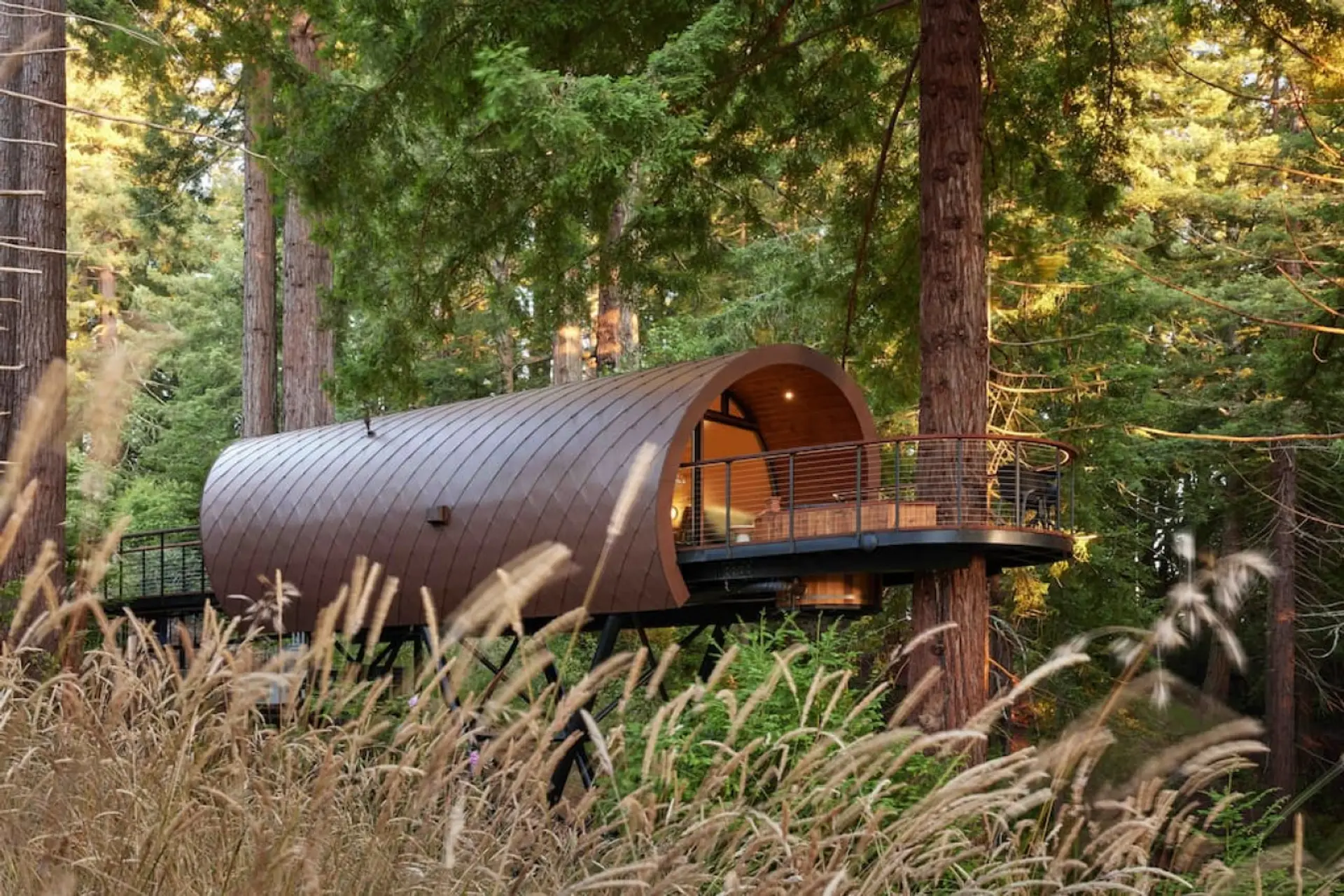 Welcome to The Spectacular Spyglass Treehouse!