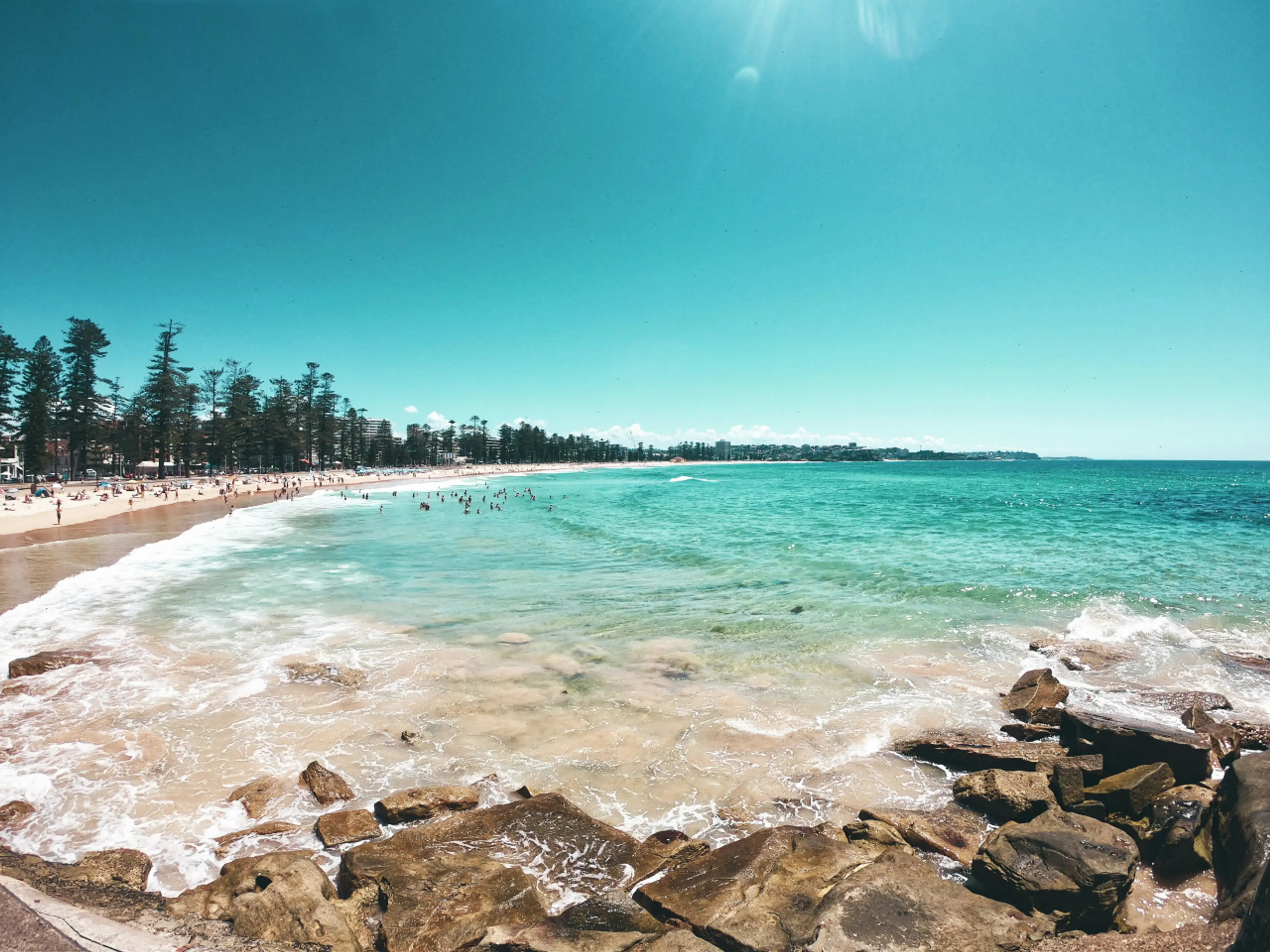 Photo by cat mastro on Unsplash