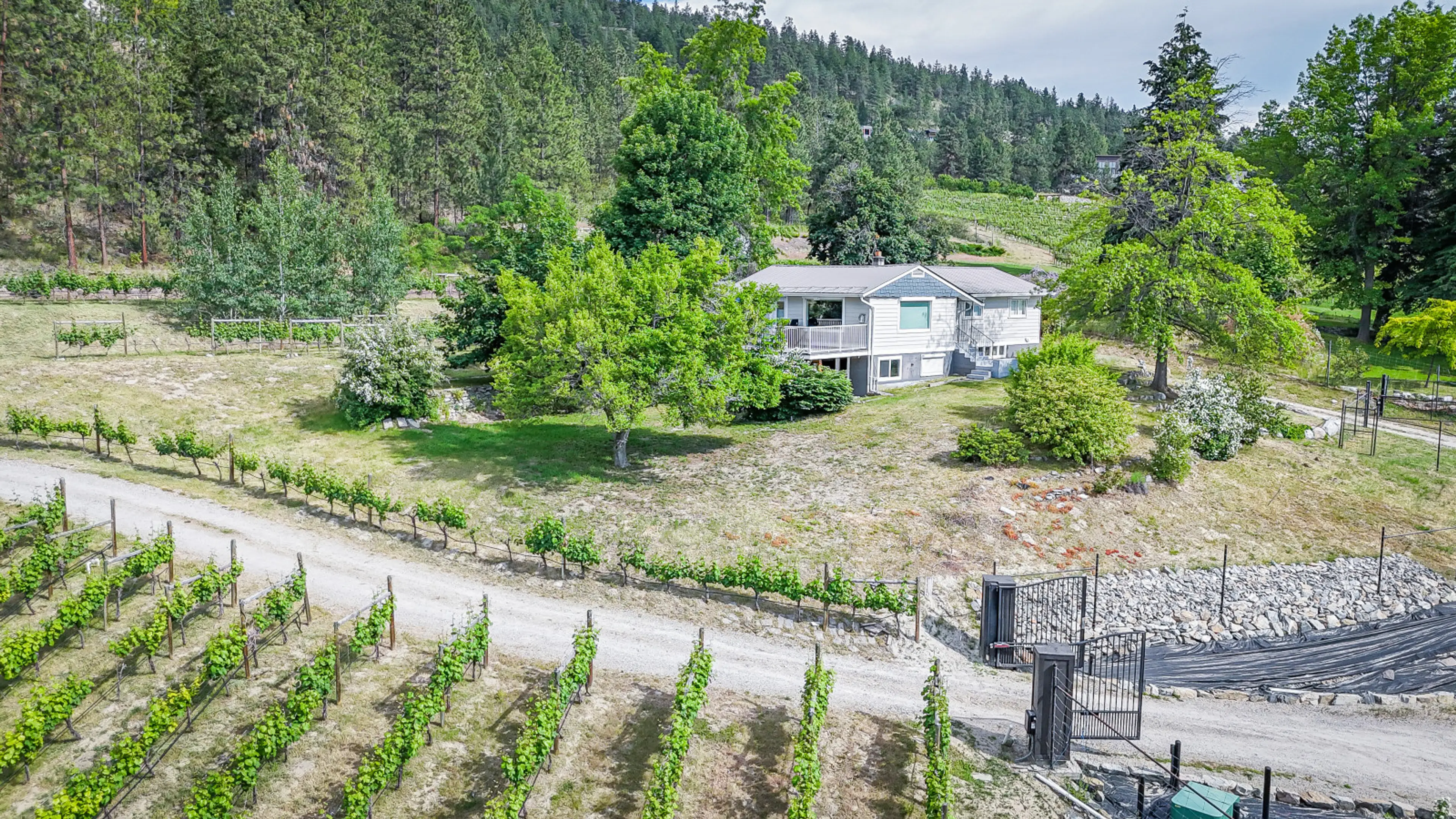 Naramata Vineyard Cottage