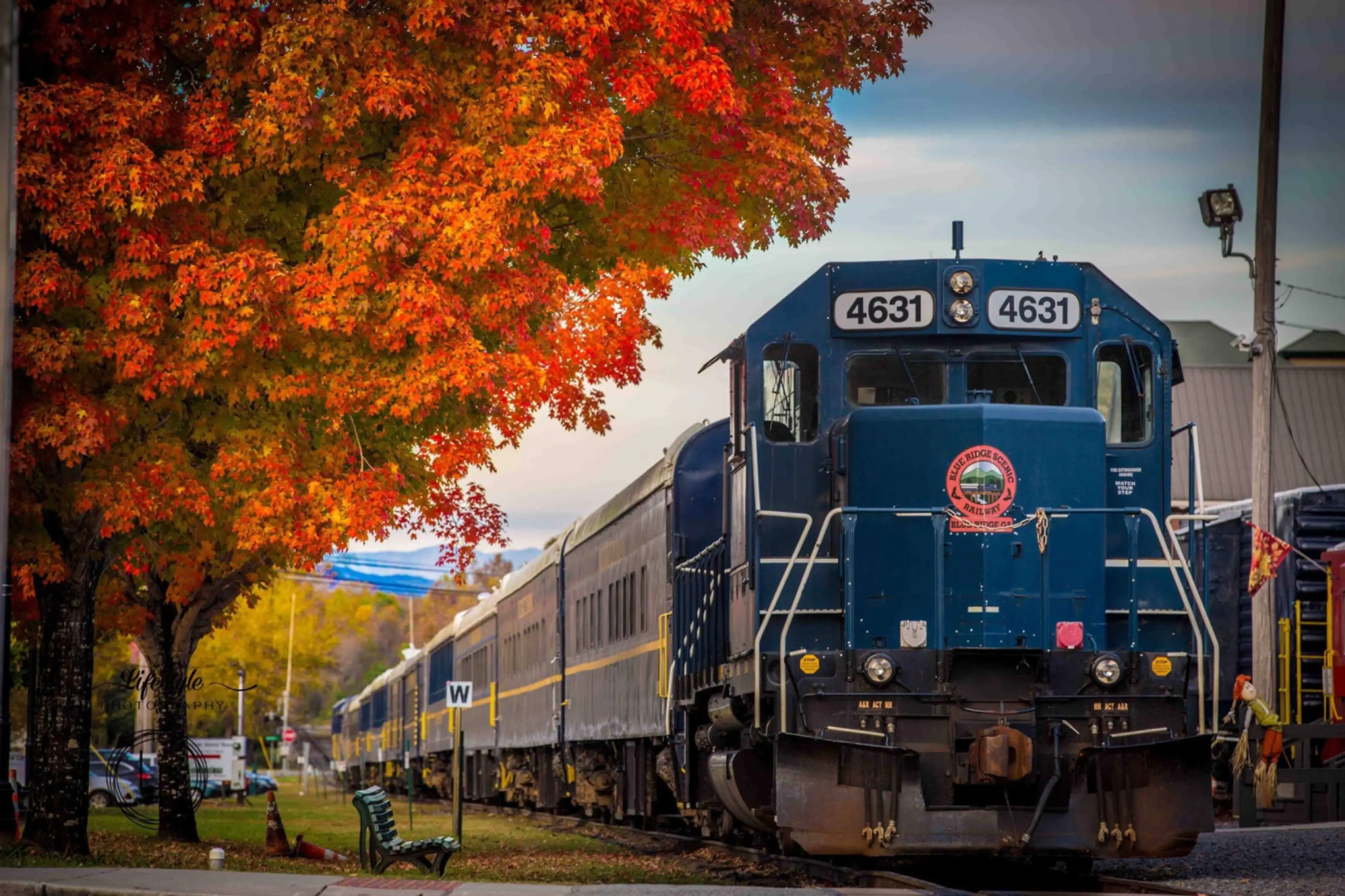 The Blue Ridge Scenic Railway is only 1 block from the bungalow - highly recommended and loved by guests!