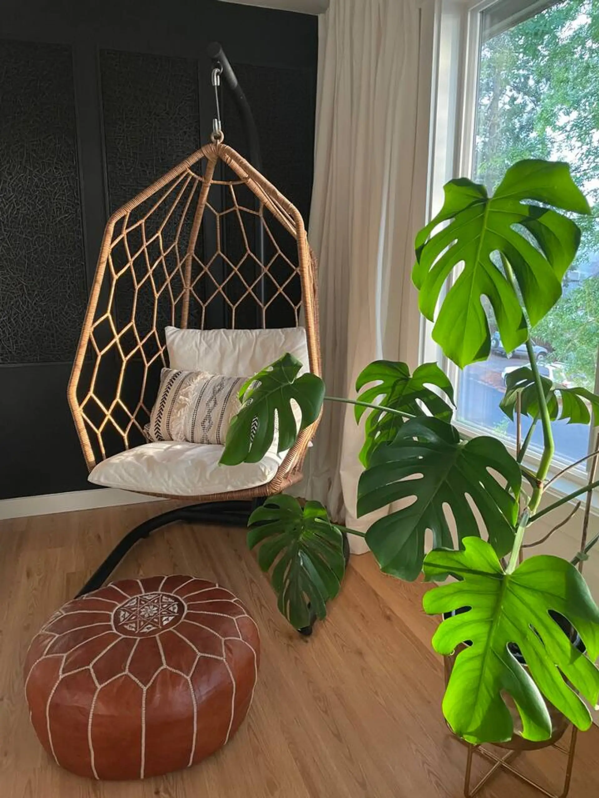 Urban jungalow. A collection of live plants spread throughout the house.