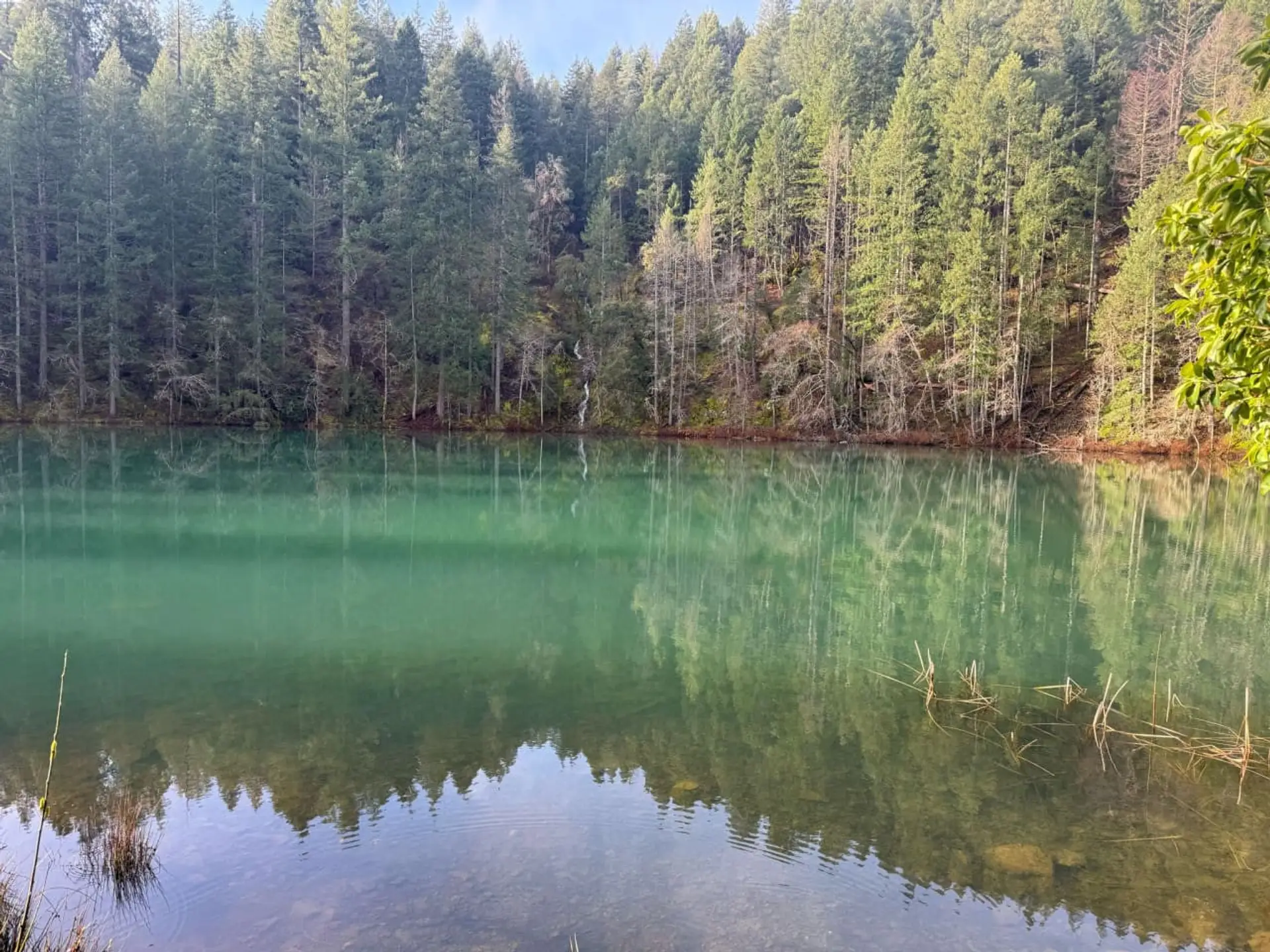 Still water. No noise. Just nature.