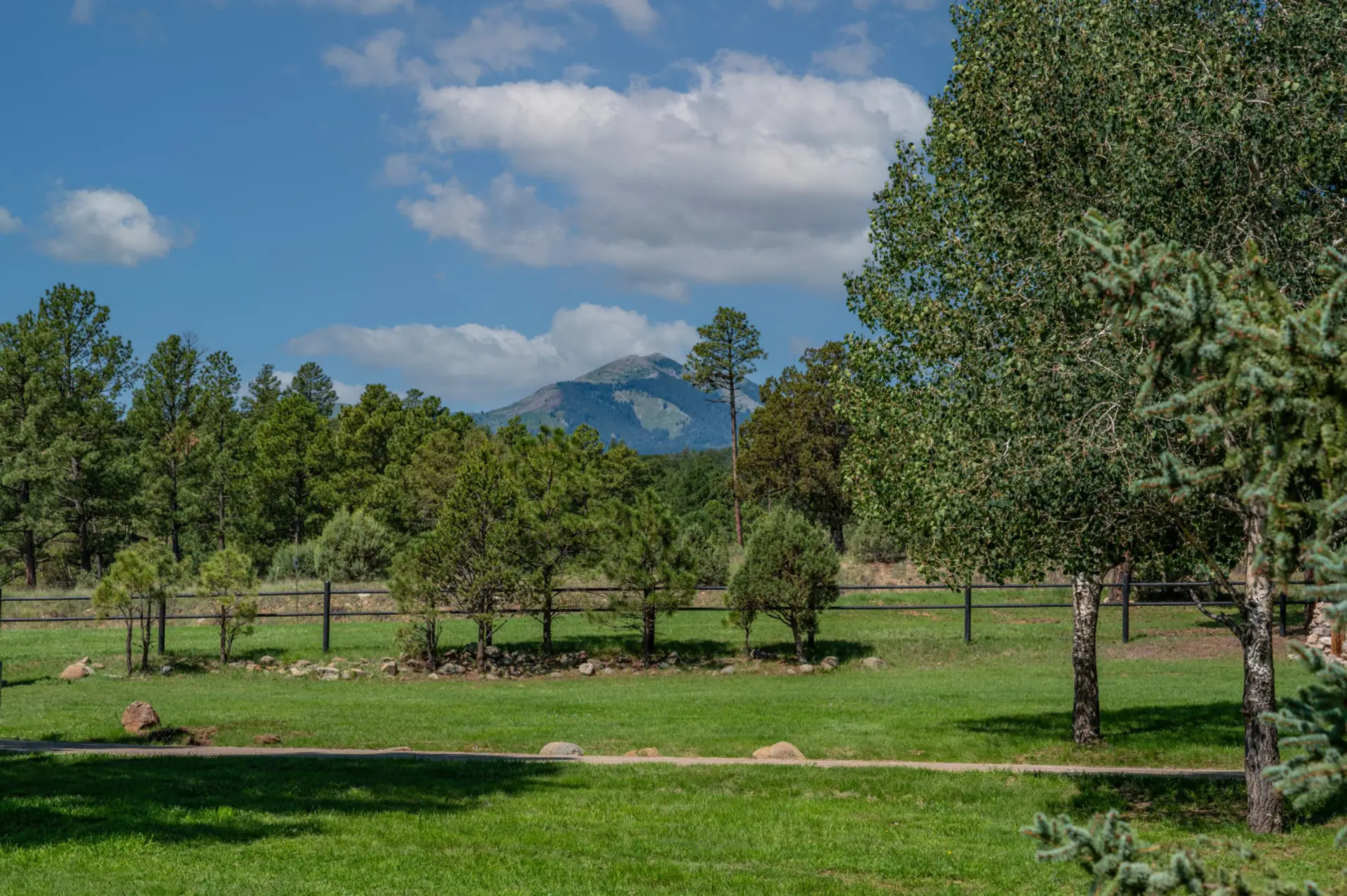 Beautiful open meadow with stunning mountain views and peaceful natural surroundings.
