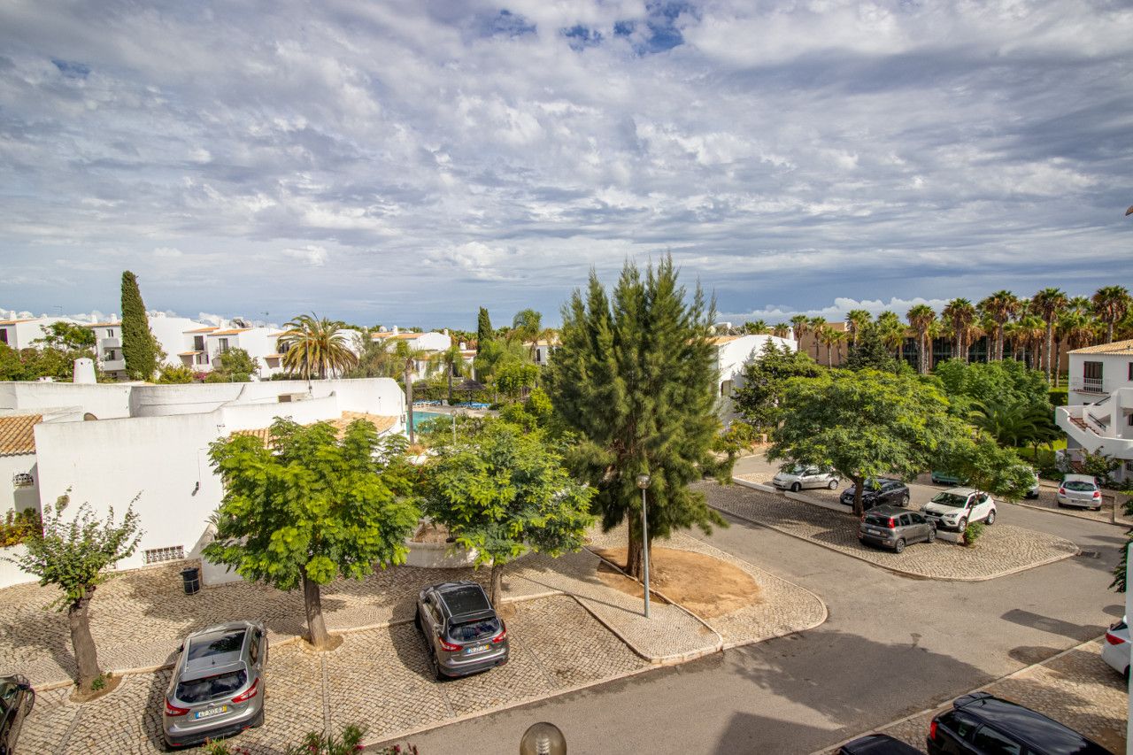 Papagaio, Albufeira