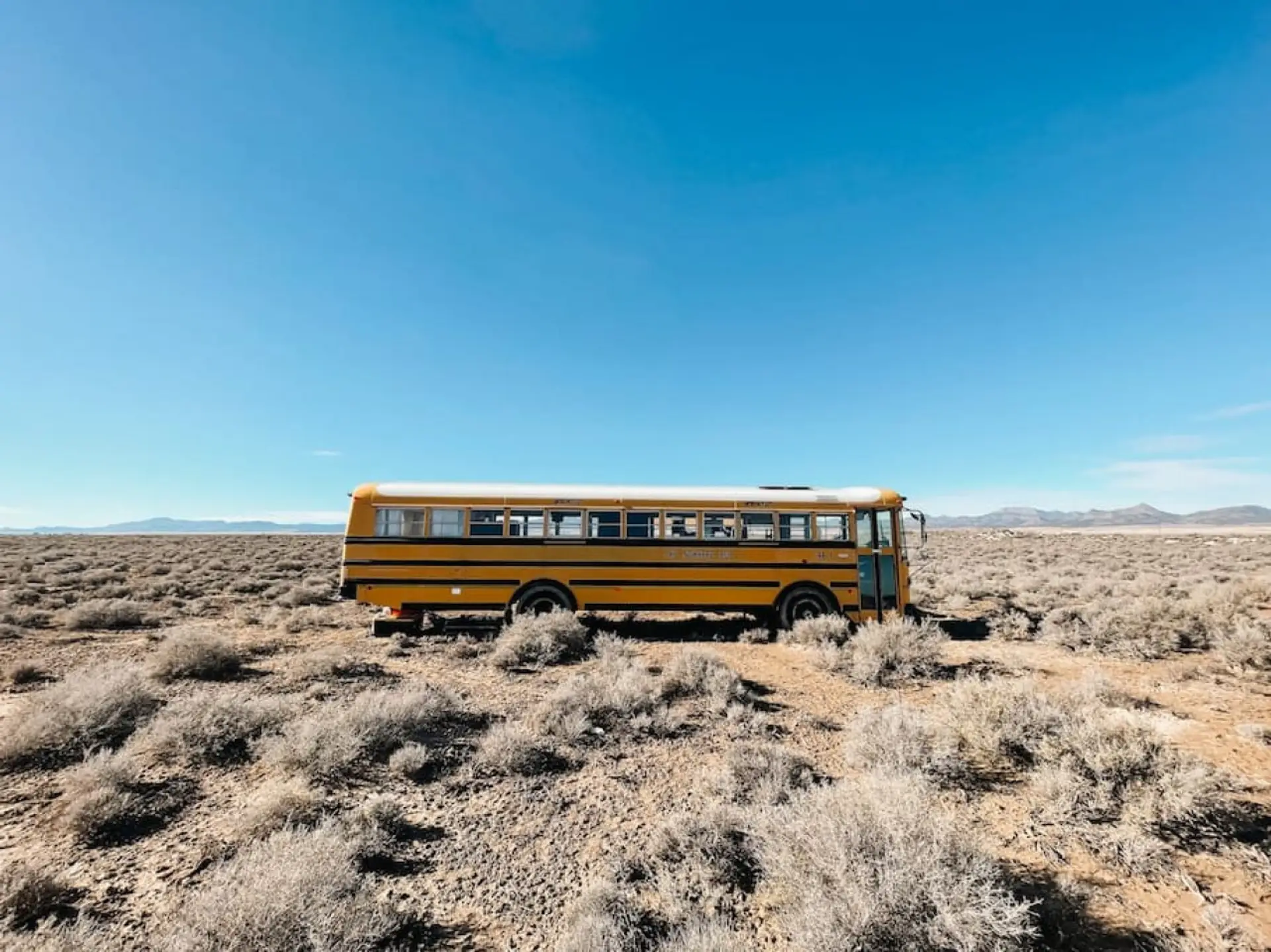 A school bus in the Middle of Nowhere. It's a vibe.