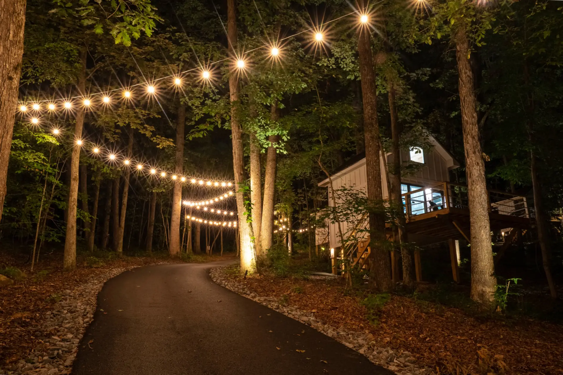 Luxury treehouse with forest views, perfect for a romantic getaway or adventure in nature. Includes a private deck and access to hiking trails.