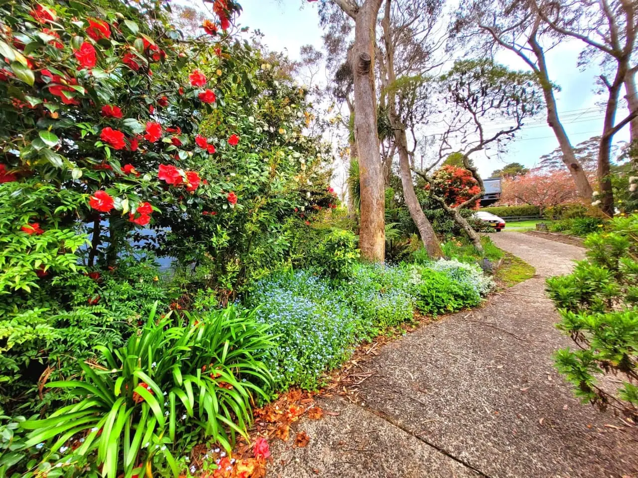 Nilgiri House – 3BR Blue Mountains Retreat, Katoomba - Image 2
