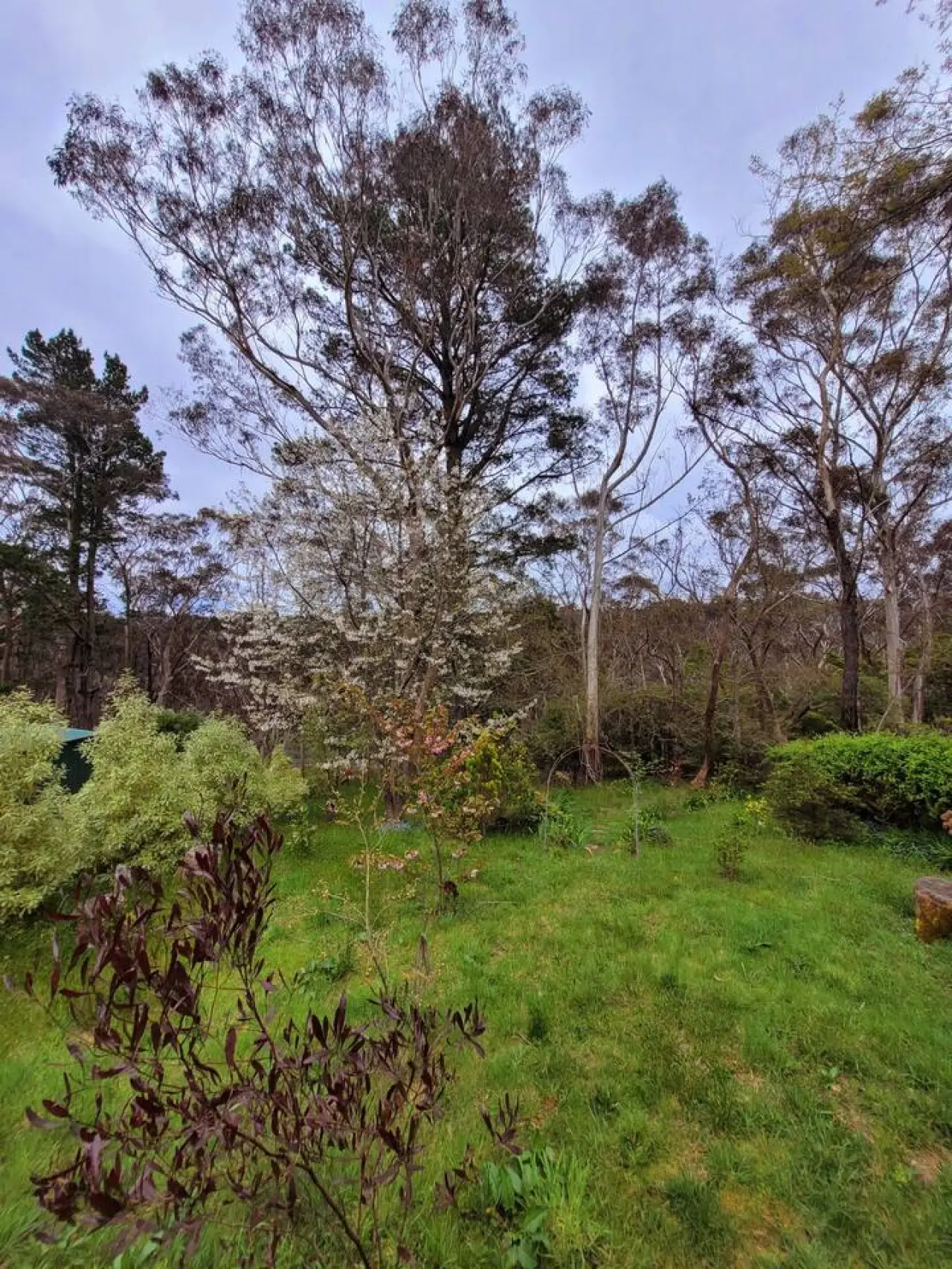 Nilgiri House – 3BR Blue Mountains Retreat, Katoomba - Image 11