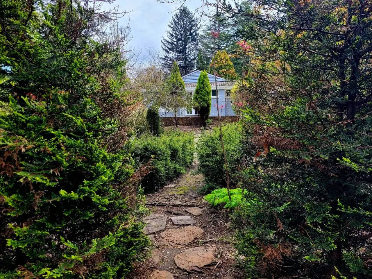 Abbey House – 3BR Garden Retreat, Dog Friendly, Leura - Image 30