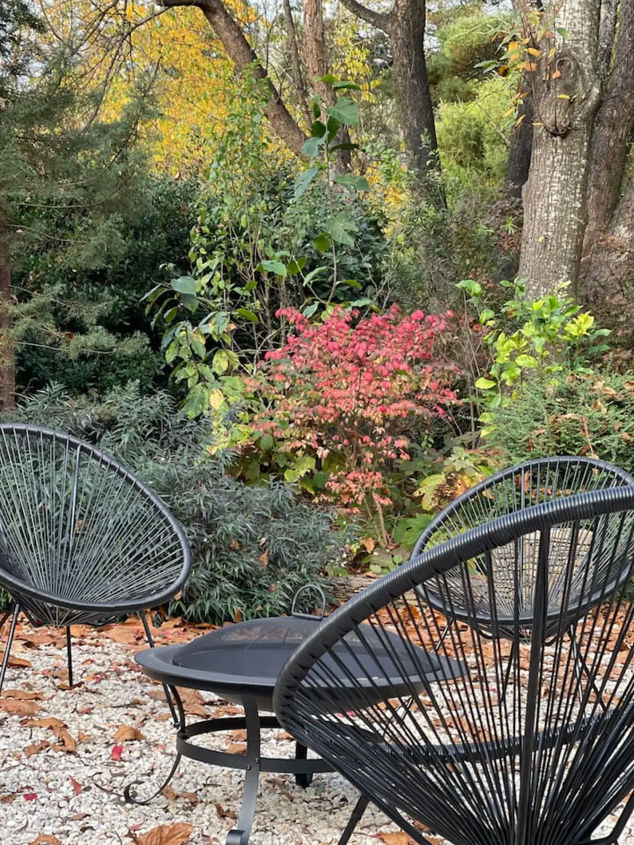 Abbey House – 3BR Garden Retreat, Dog Friendly, Leura - Image 26