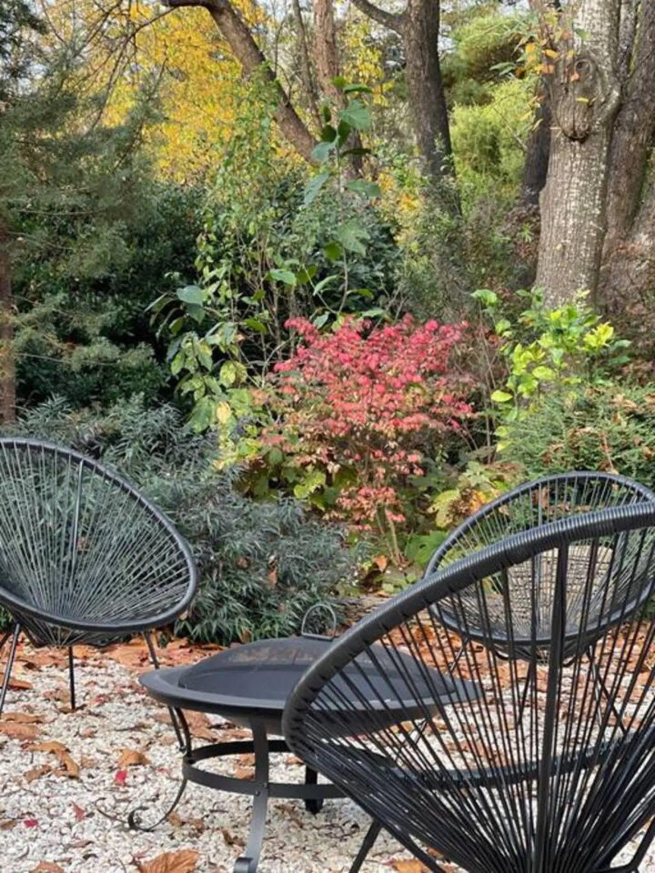 Abbey House – 3BR Garden Retreat, Leura (Monthly Stays) - Image 26