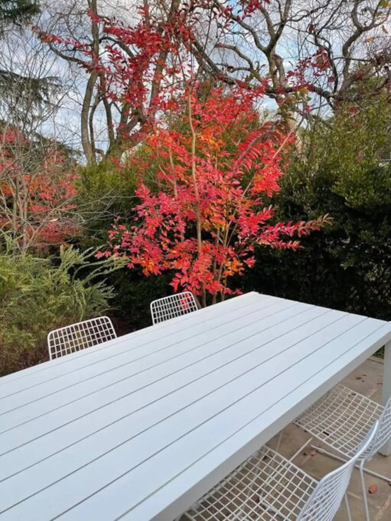 Abbey House – 3BR Garden Retreat, Leura (Monthly Stays) - Image 25