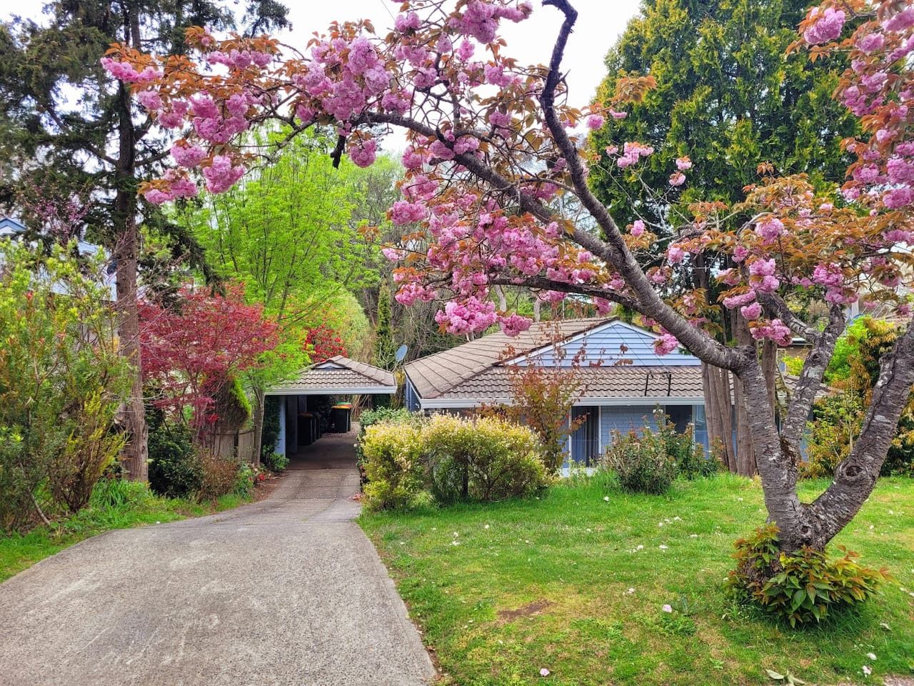 Abbey House – 3BR Garden Retreat, Leura (Monthly Stays) - Image 1