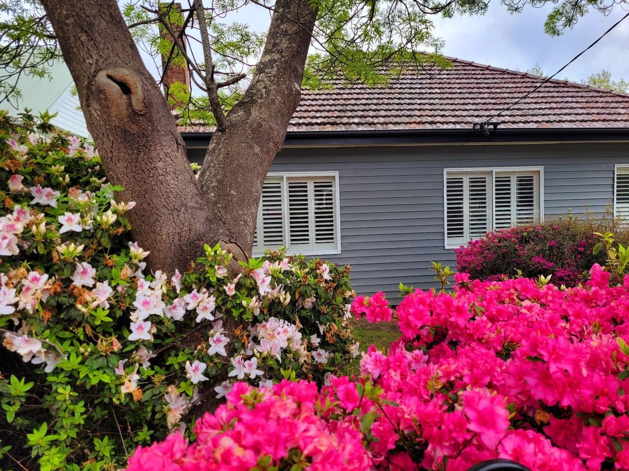 La Villette – 4BR House, Sleeps 9, Katoomba (Blue Mountains) - Image 3