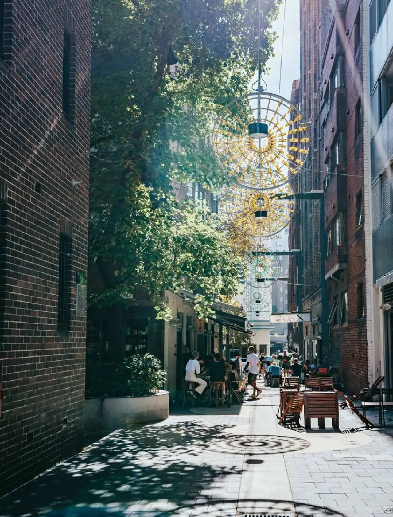 Oversized Potts Point Studio – Pet Friendly (Monthly Stays) - Image 14