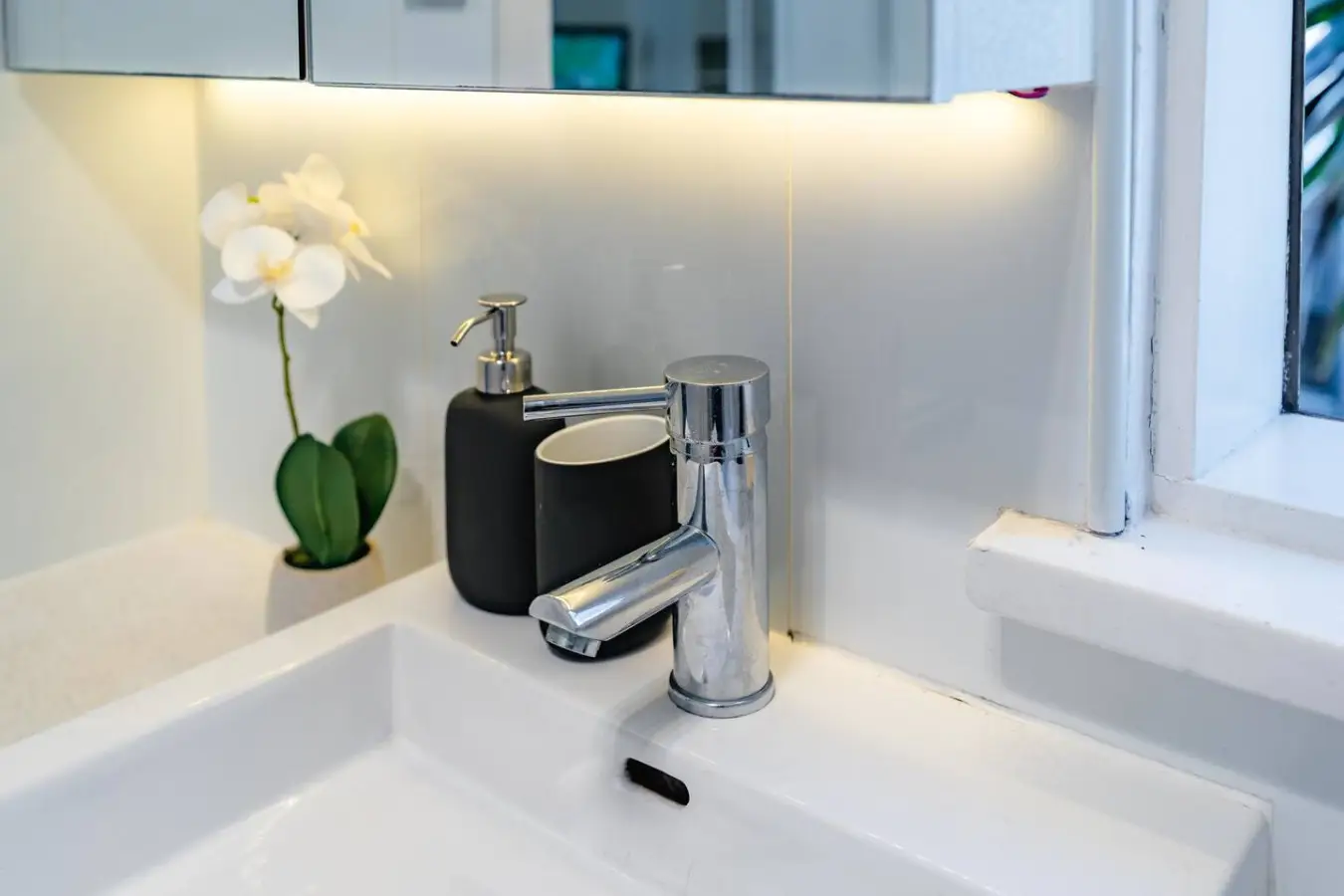 Oversized Potts Point Studio – Pet Friendly (Monthly Stays) - Image 11