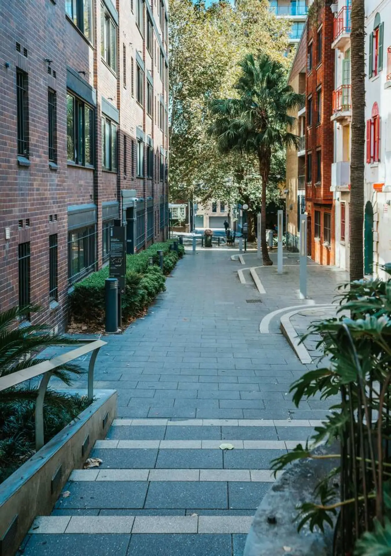 Oversized Potts Point Studio, Pet Friendly, Art Deco Building - Image 15