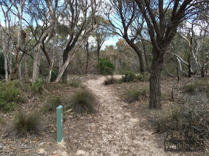 Banksia Retreat - Image 3