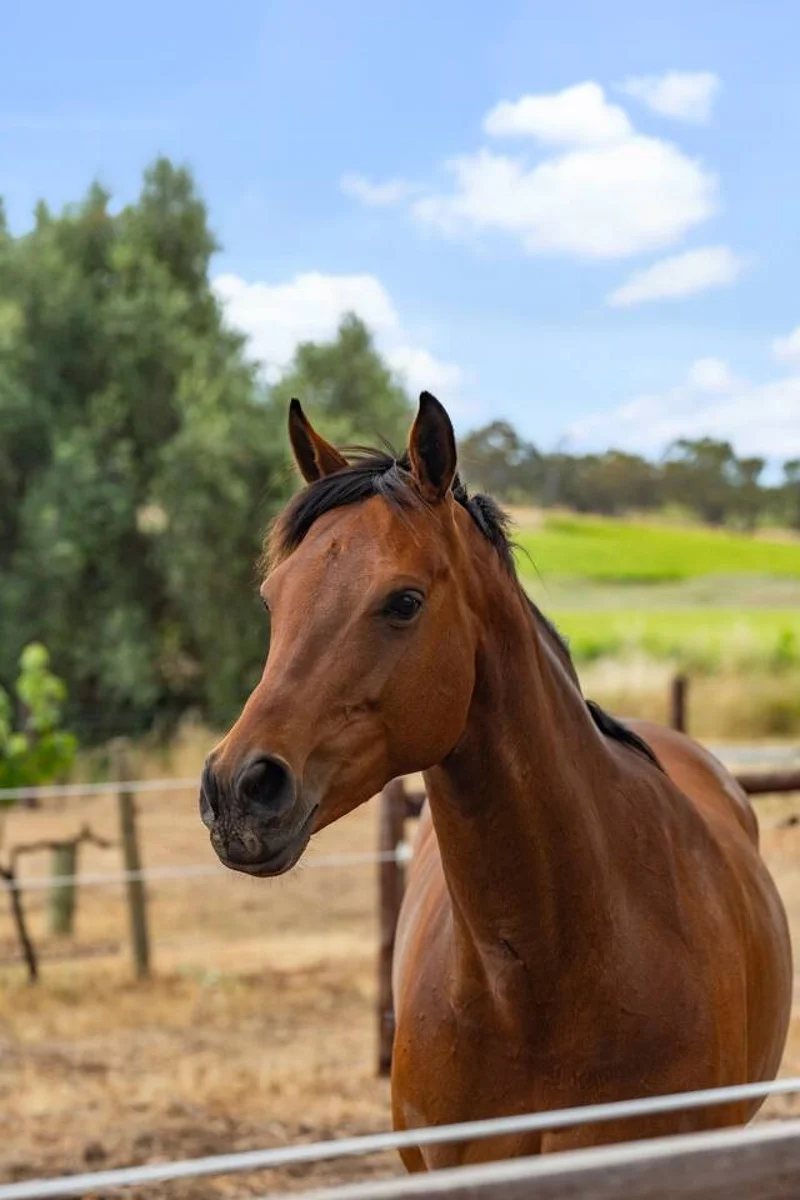 Wine Down - Image 57