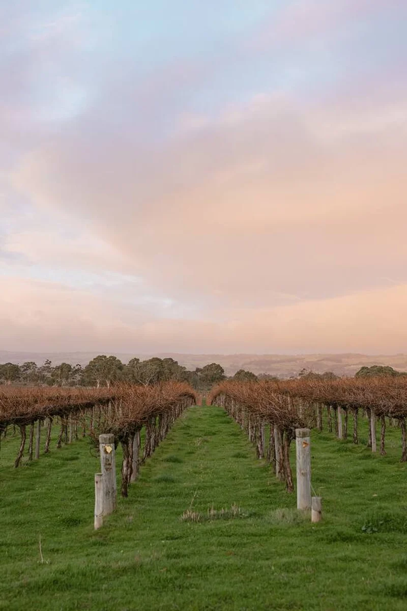 Wine Down - Image 9