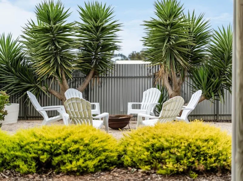The Deck - Image 46