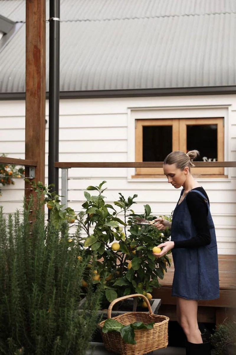 Herrings House - Image 37