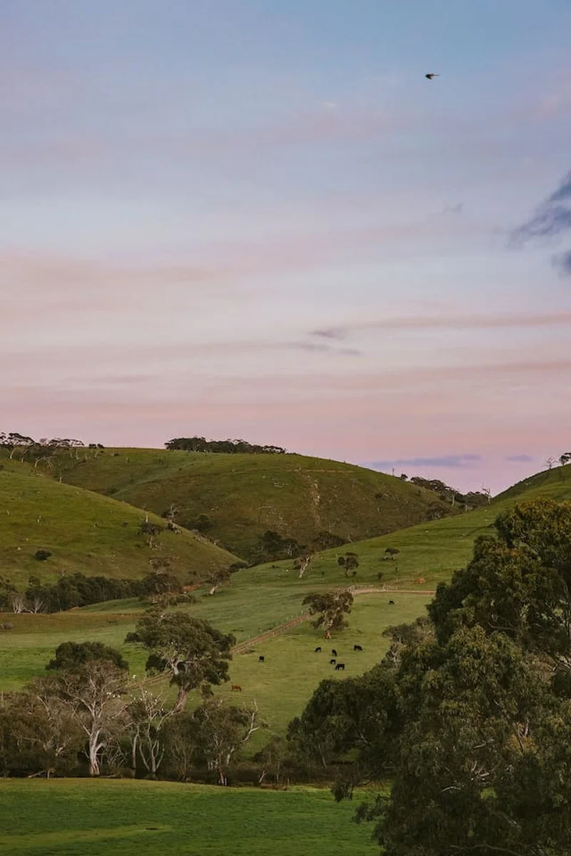 Wattle Hills - Image 63