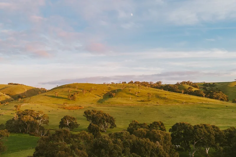 Wattle Hills - Image 77