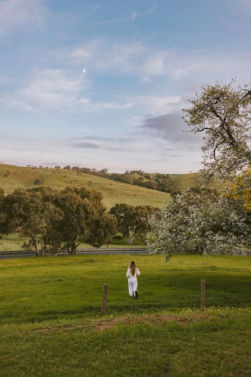 Wattle Hills - Image 65
