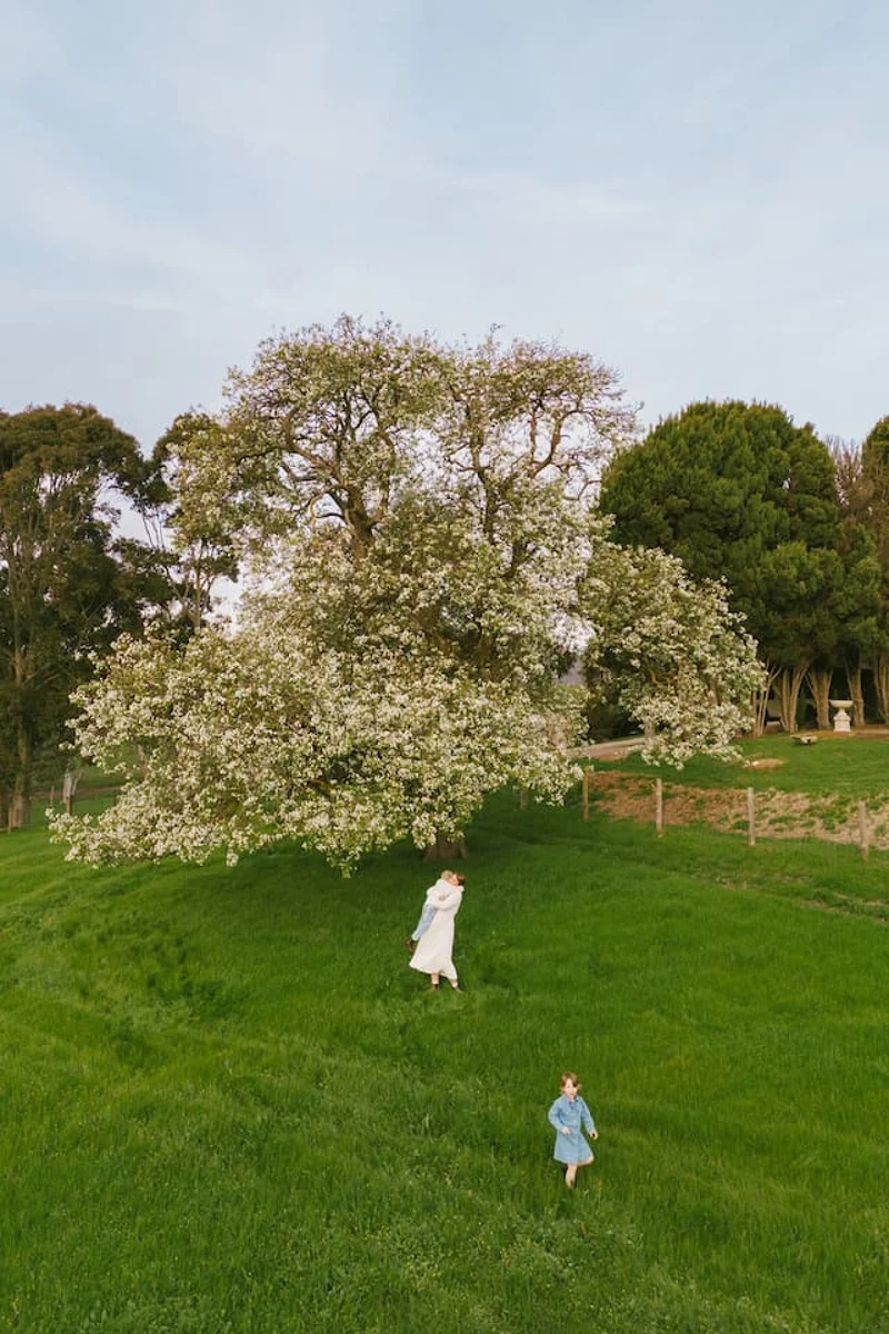 Wattle Hills - Image 82