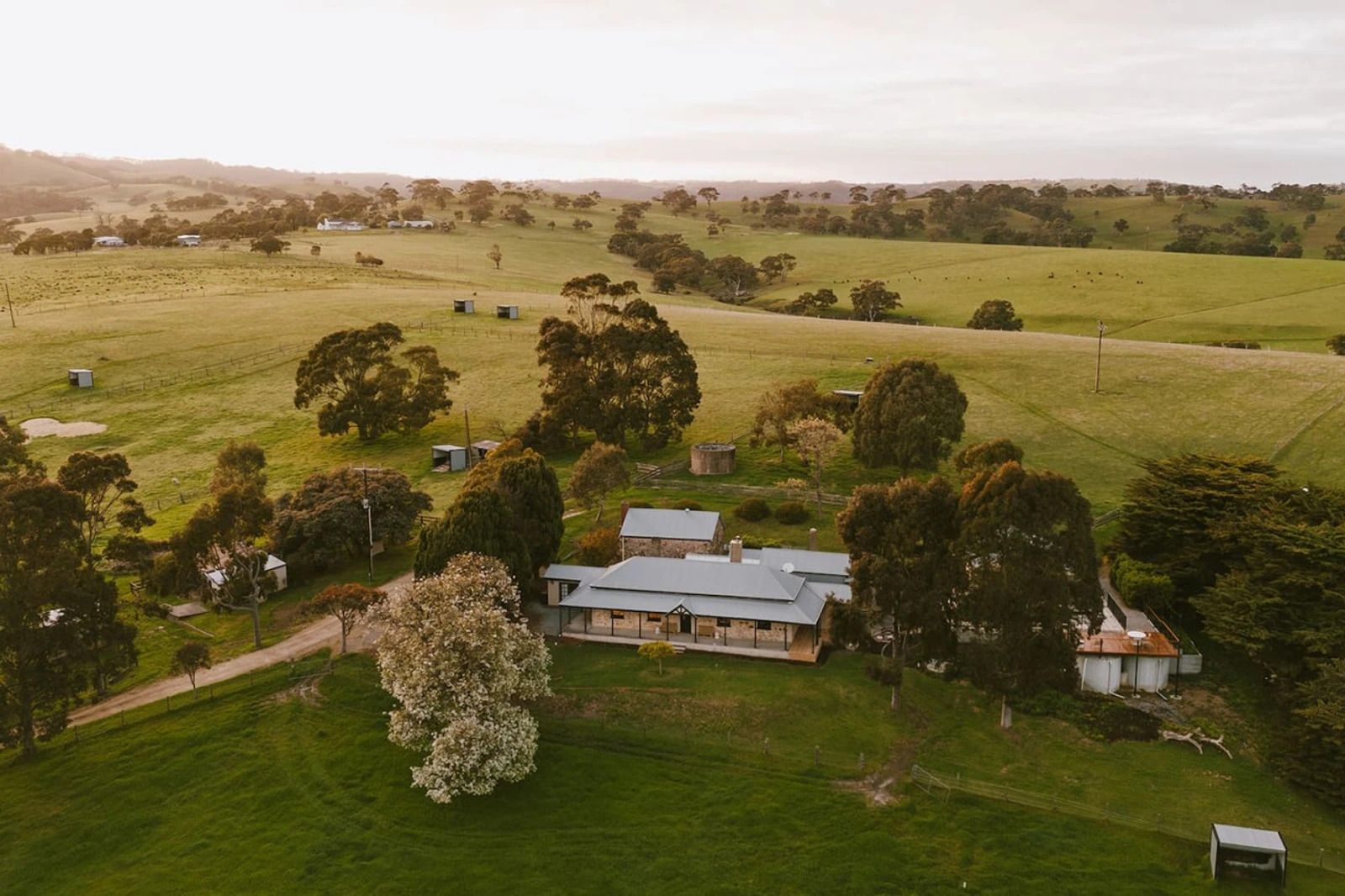 Wattle Hills - Image 1