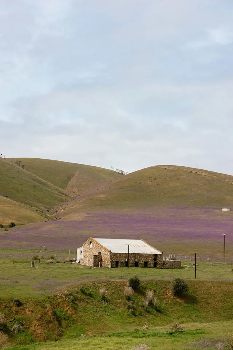Wattle Hills - Image 71