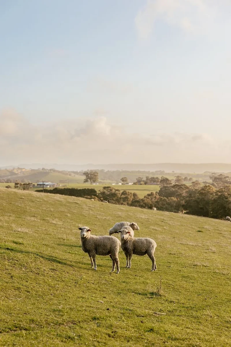 Wattle Hills - Image 68