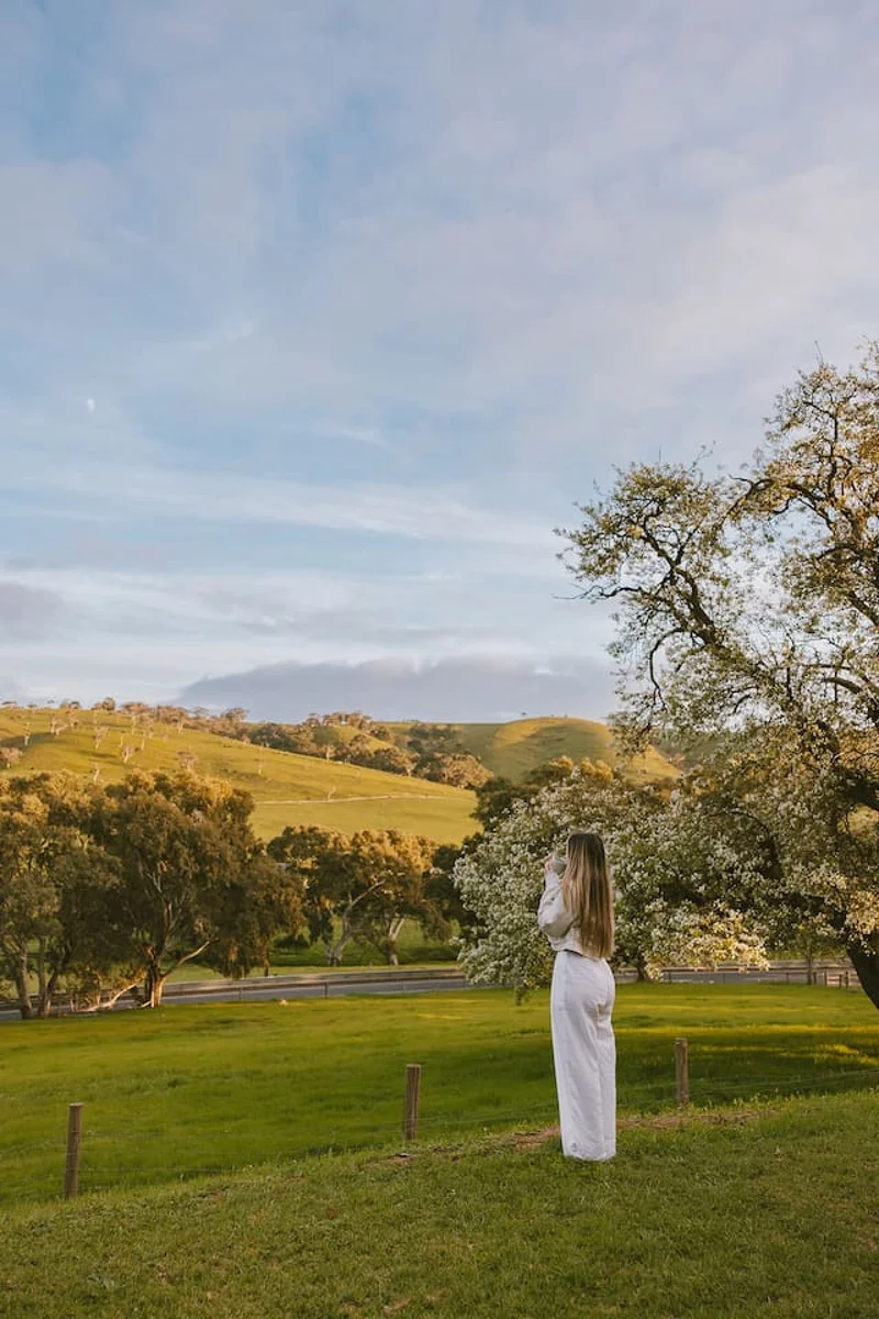 Wattle Hills - Image 66