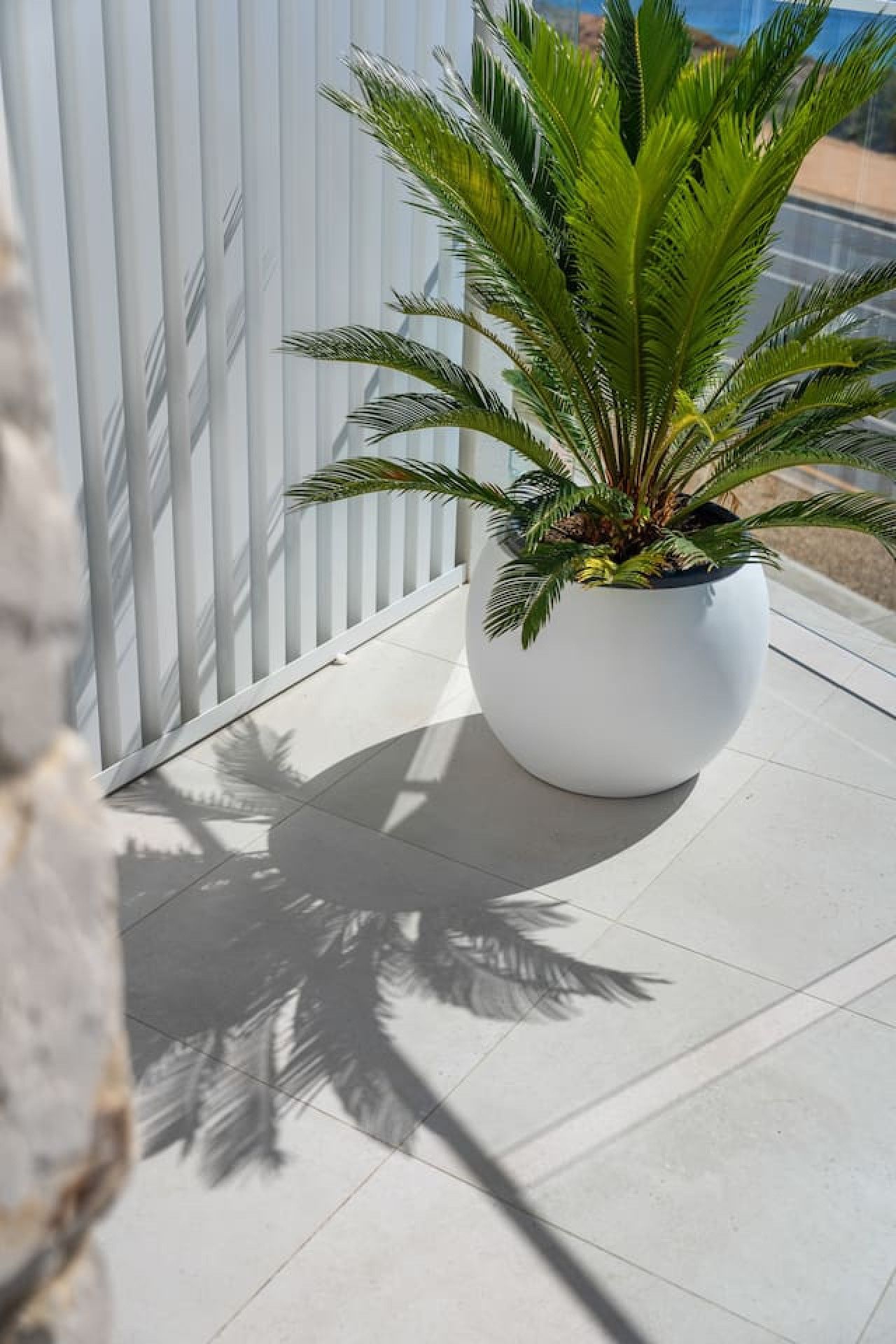 Horizons - Image 10