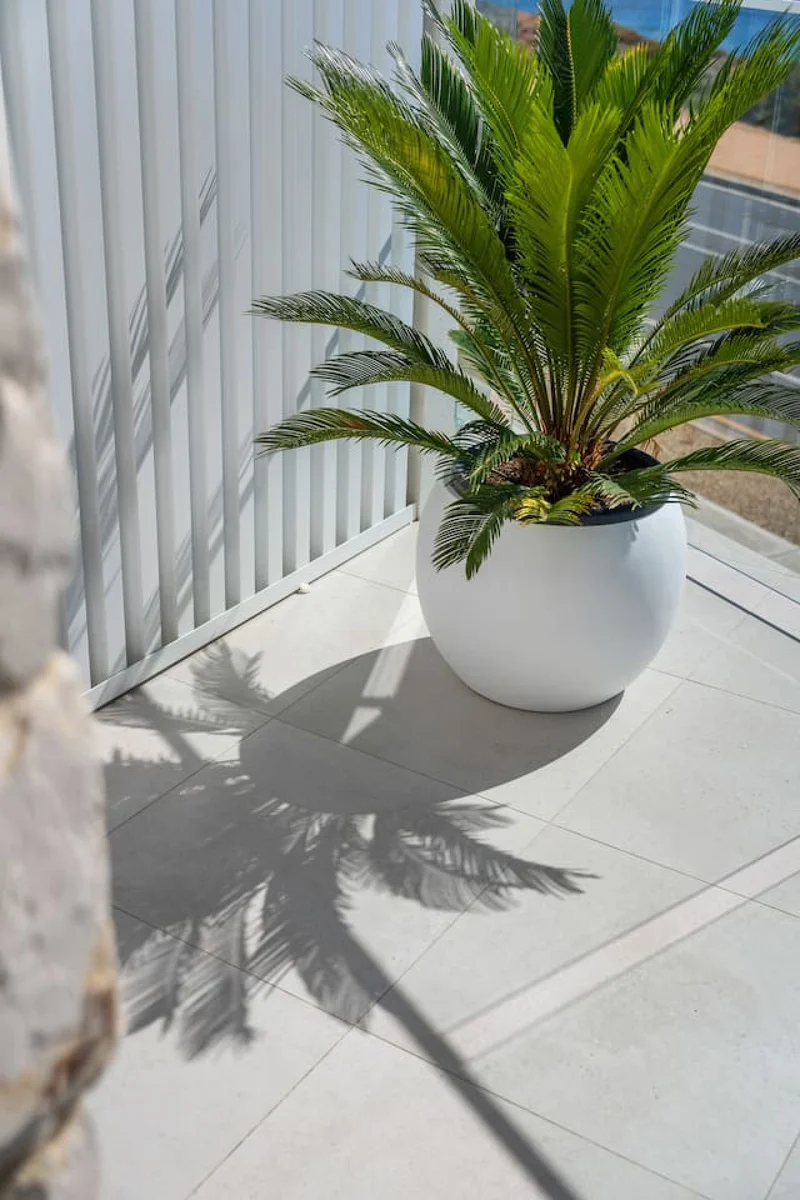 Horizons - Image 10