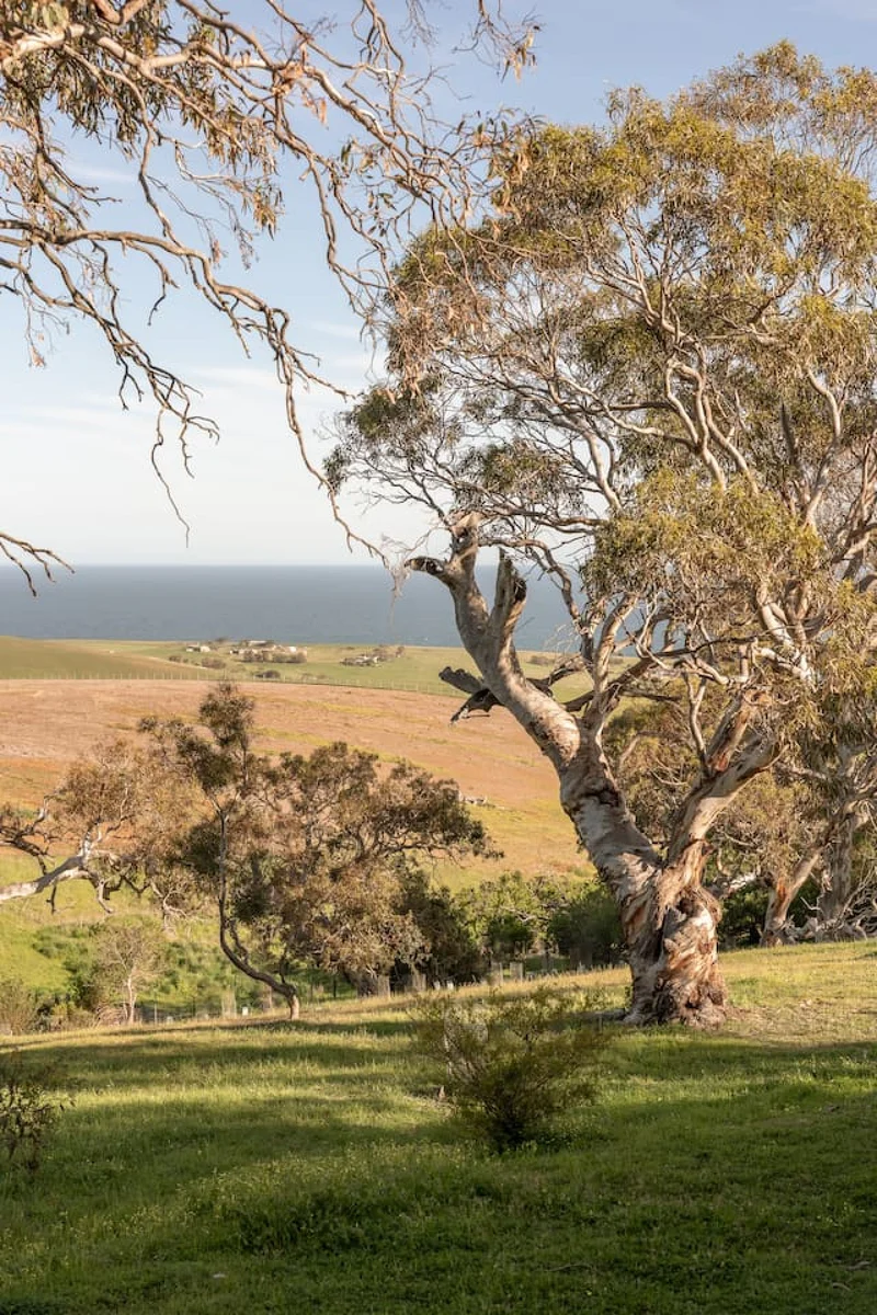 The Slow Acre - Image 60