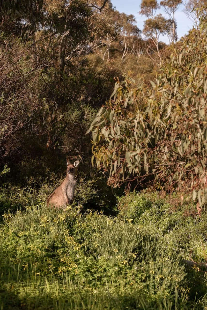 The Slow Acre - Image 61
