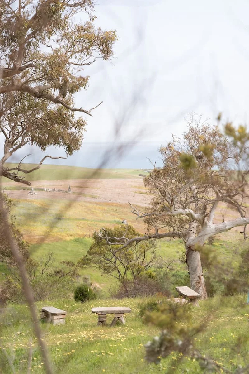 The Slow Acre - Image 42