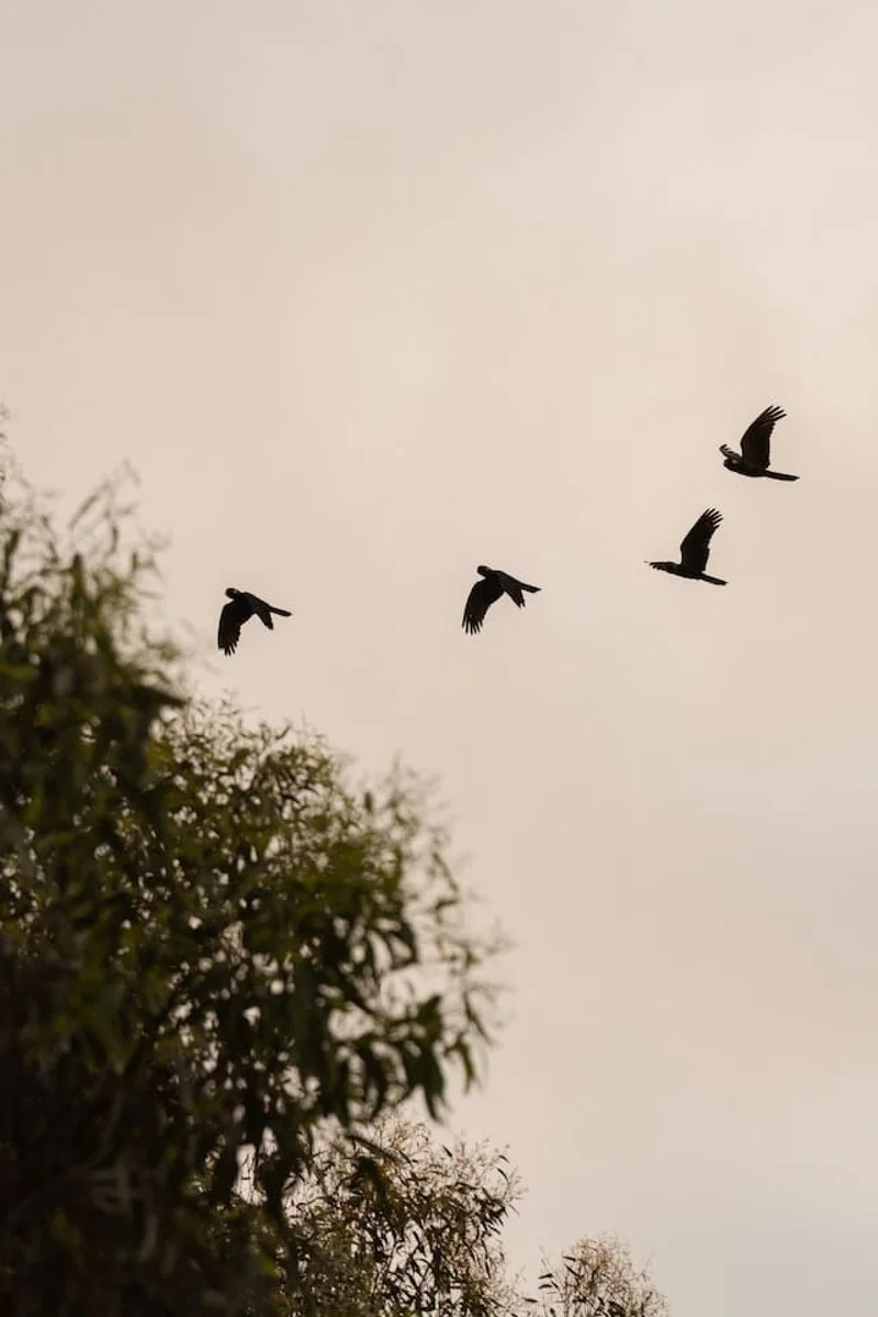 The Slow Acre - Image 50