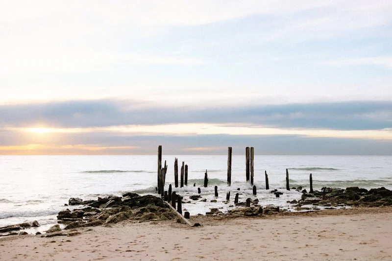 the tiny burrow - Image 7