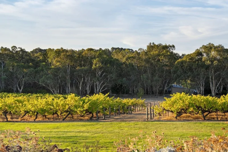 Olea House - Image 83