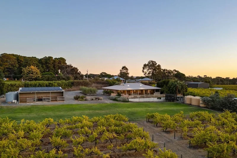 Olea House - Image 7