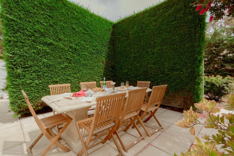 The Tree House - Image 35
