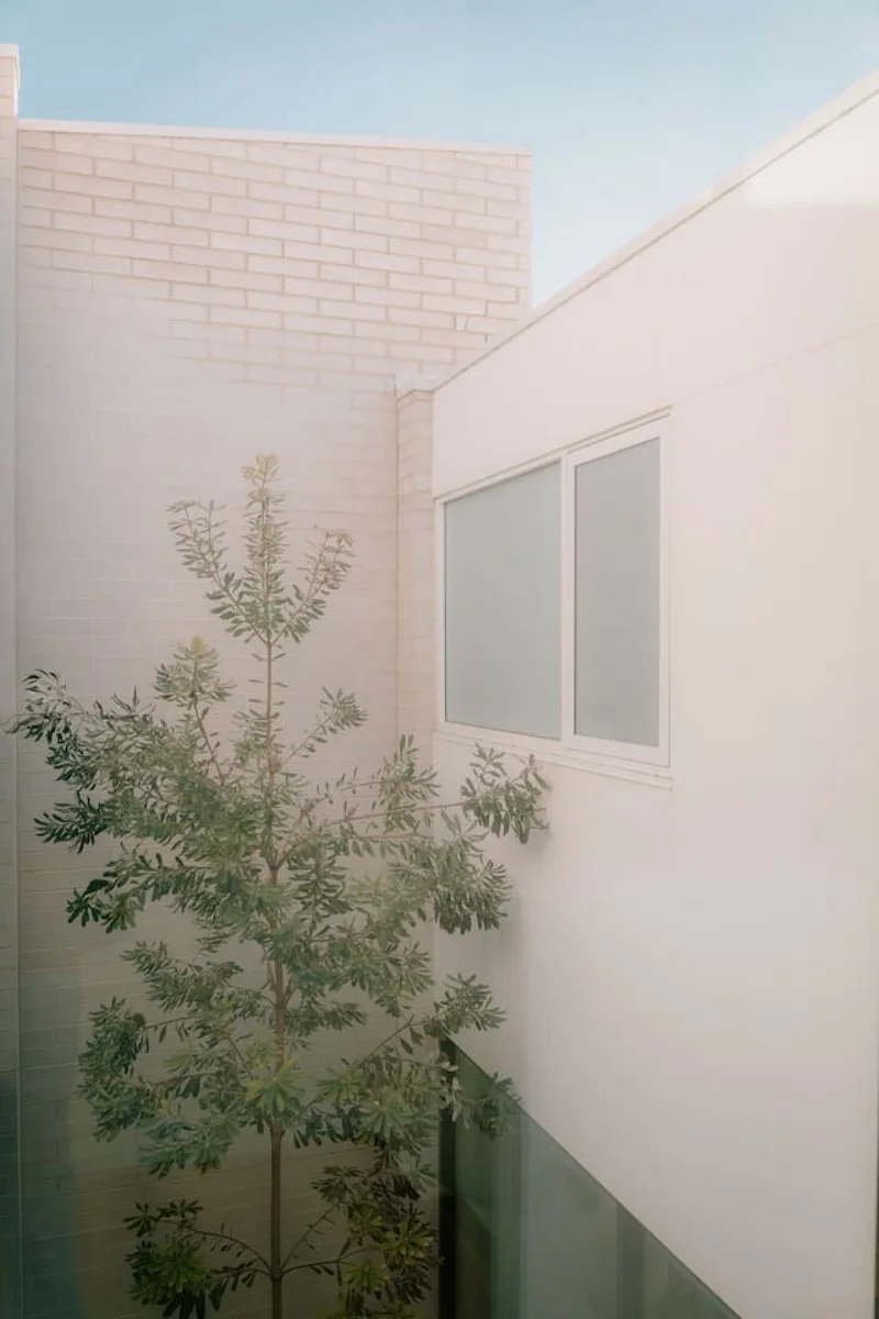 Cali House - Image 14