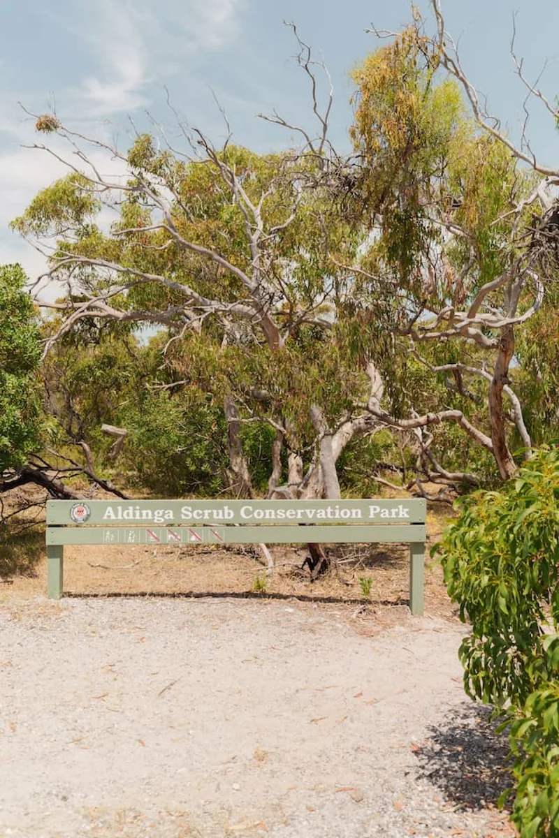 Kauwi Retreat - Image 88