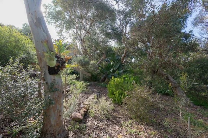 Kauwi Retreat - Image 74